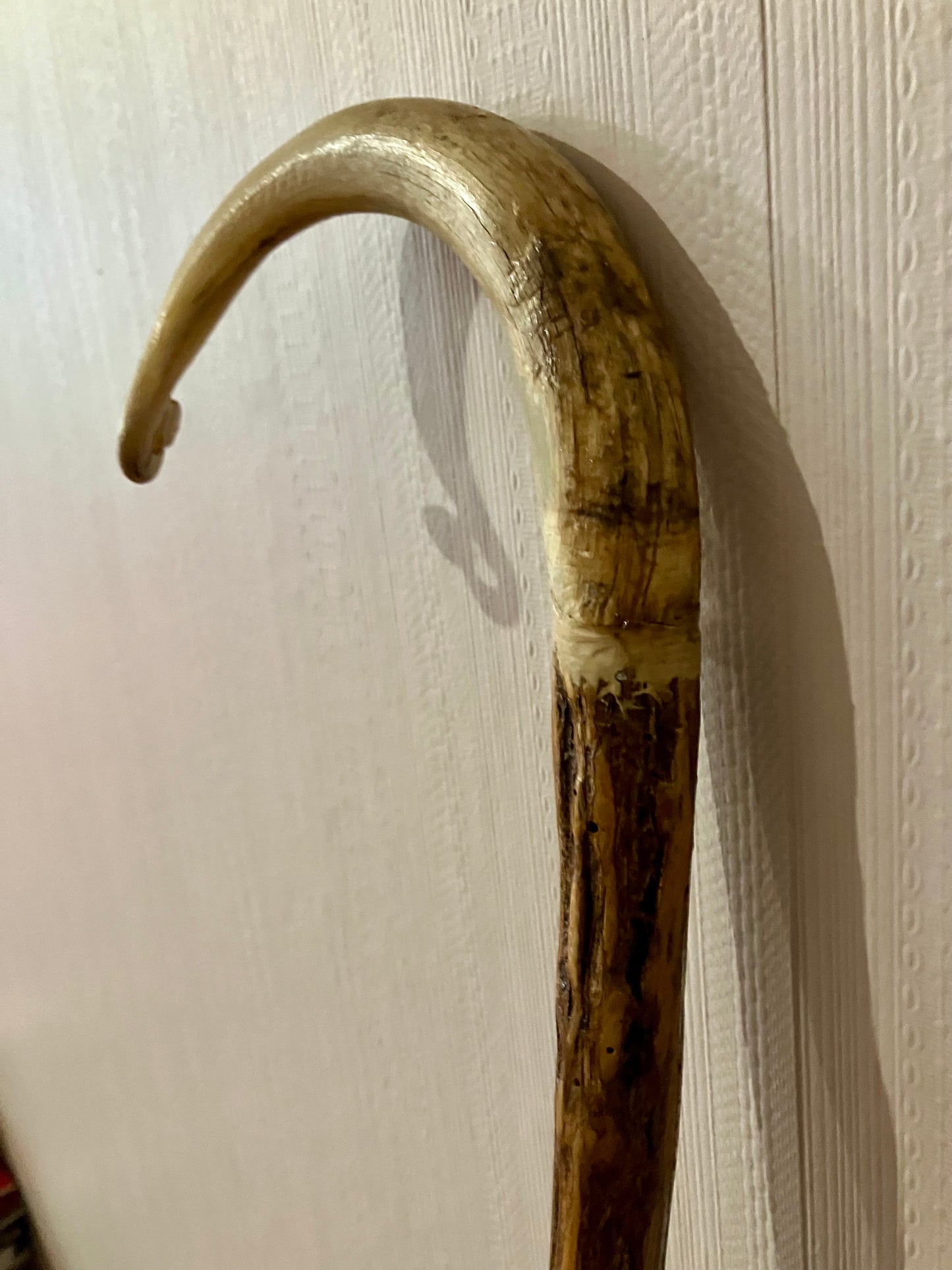 Handcrafted Merino Horn Walking Stick